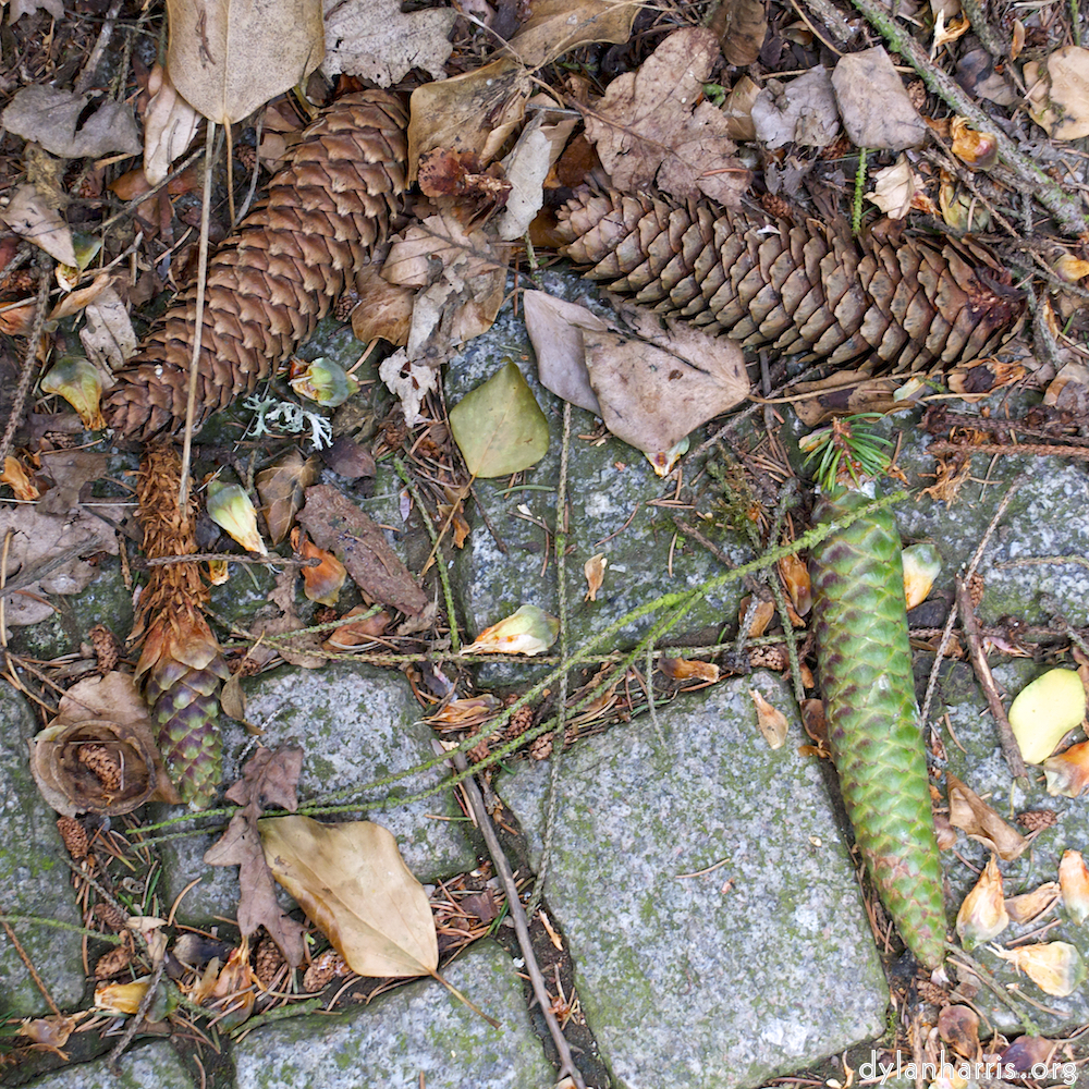 Image 'parc (ix) 4'.