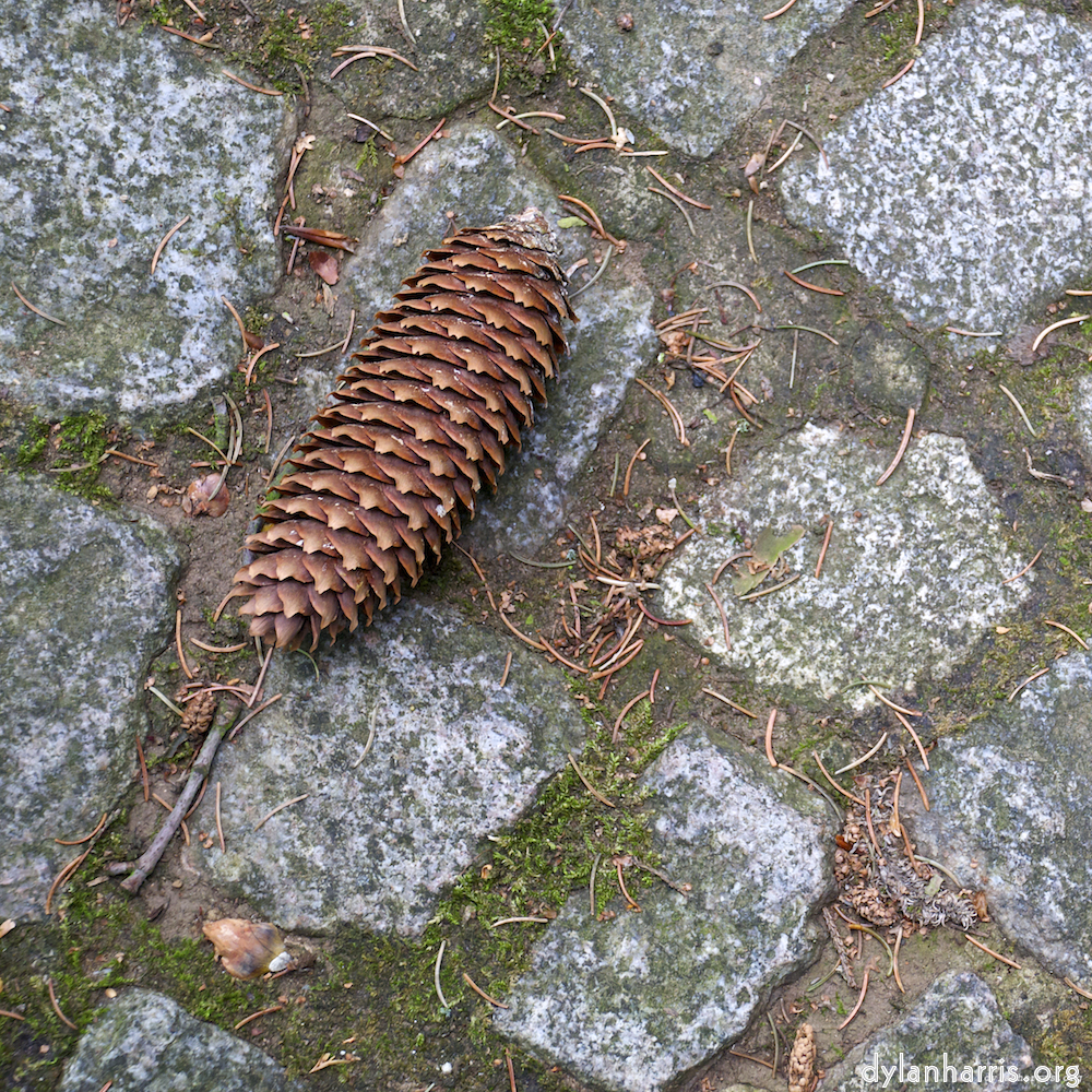 Image: Image 'parc (ix) 5'.