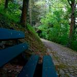Image: First image from the photoset 'parc (ix)'.