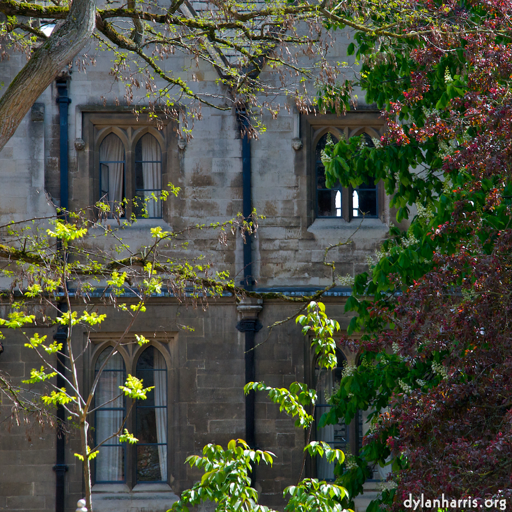 Image: Image 'cambridge 1'.