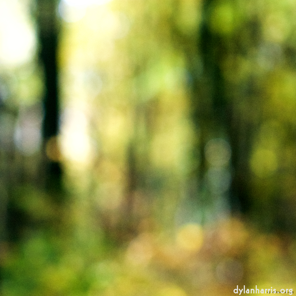 Image 'wood (xxii) 2'