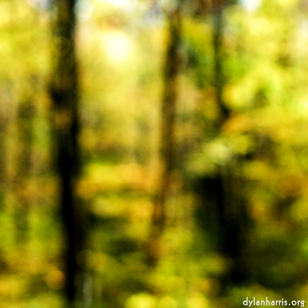 Image 'wood (xxiii) 3'