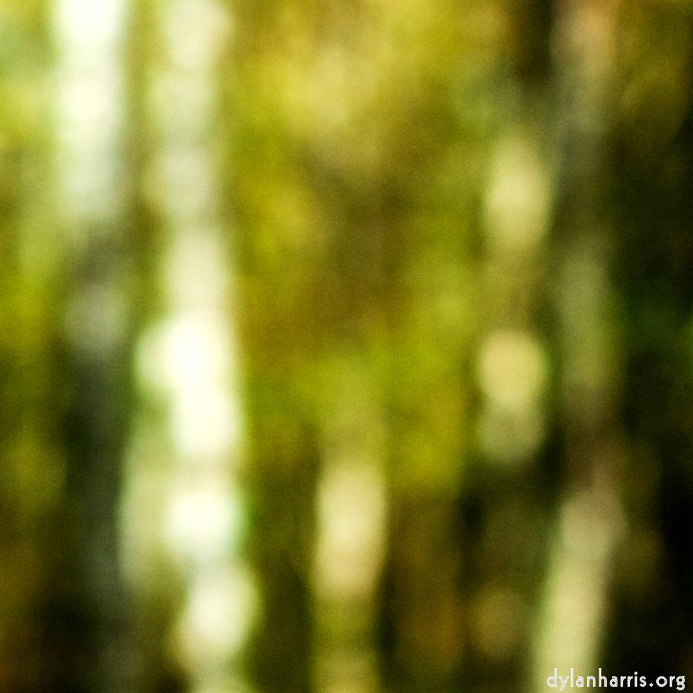Image 'wood (xxiii) 5'.