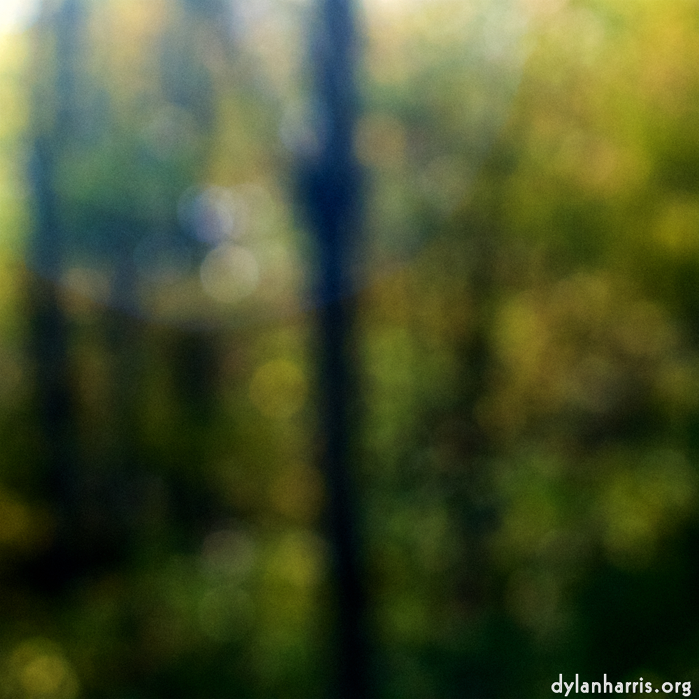 Image 'wood (xxiii) 6'