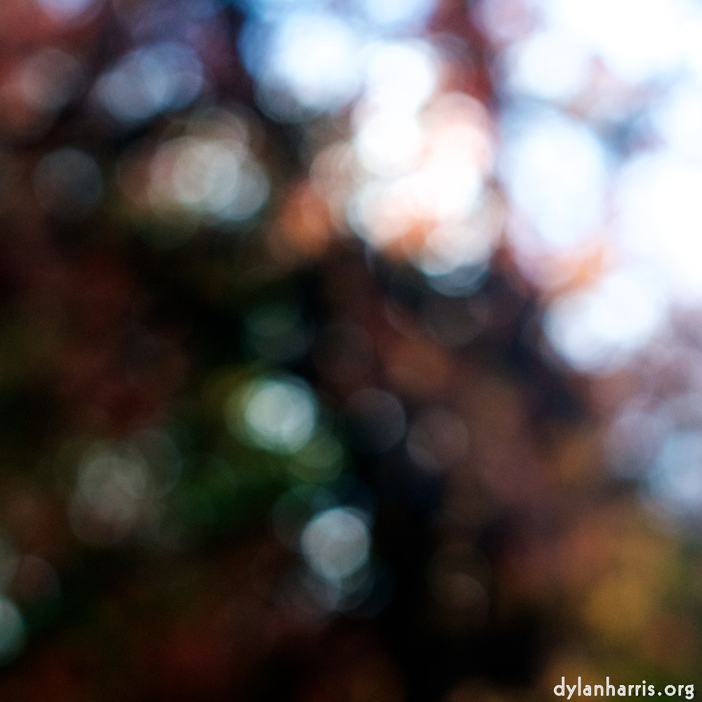 Image 'wood (xxiv) 2'