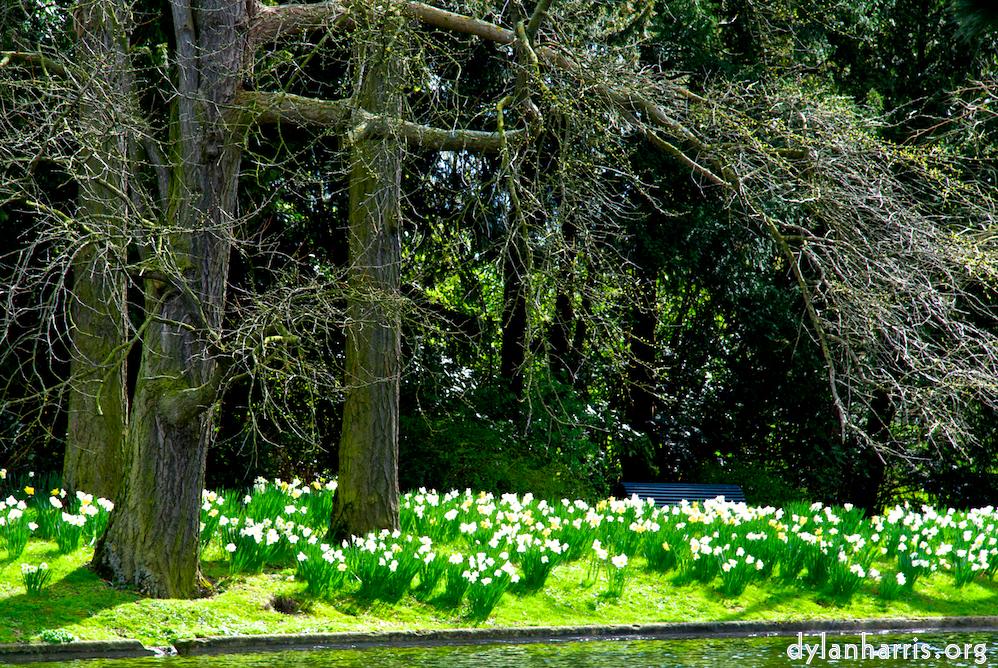 Image 'parc (i) 1'.