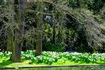 First image from the photoset 'parc (i)'.
