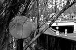 Fourth image from the photoset 'parc (i)'.