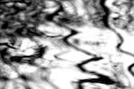 Seventh image from the photoset 'parc (i)'.