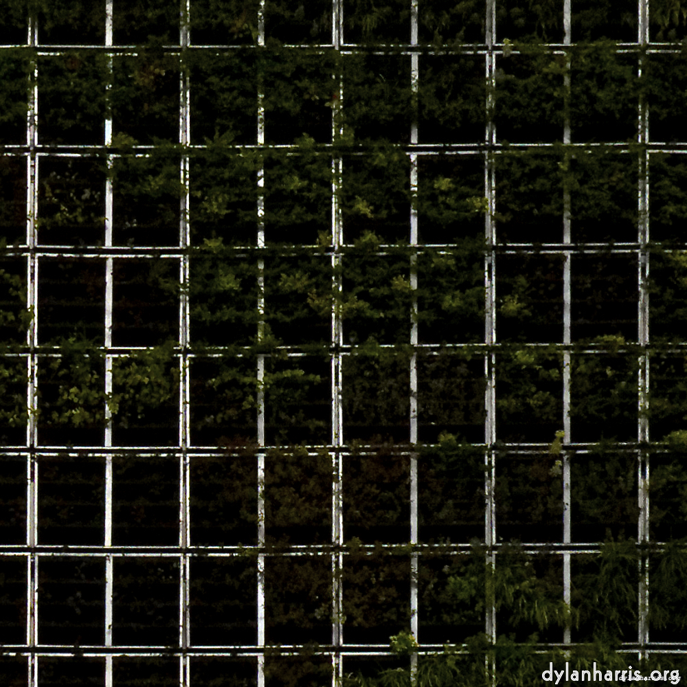 Image: Image 'paris (xii) 2'.