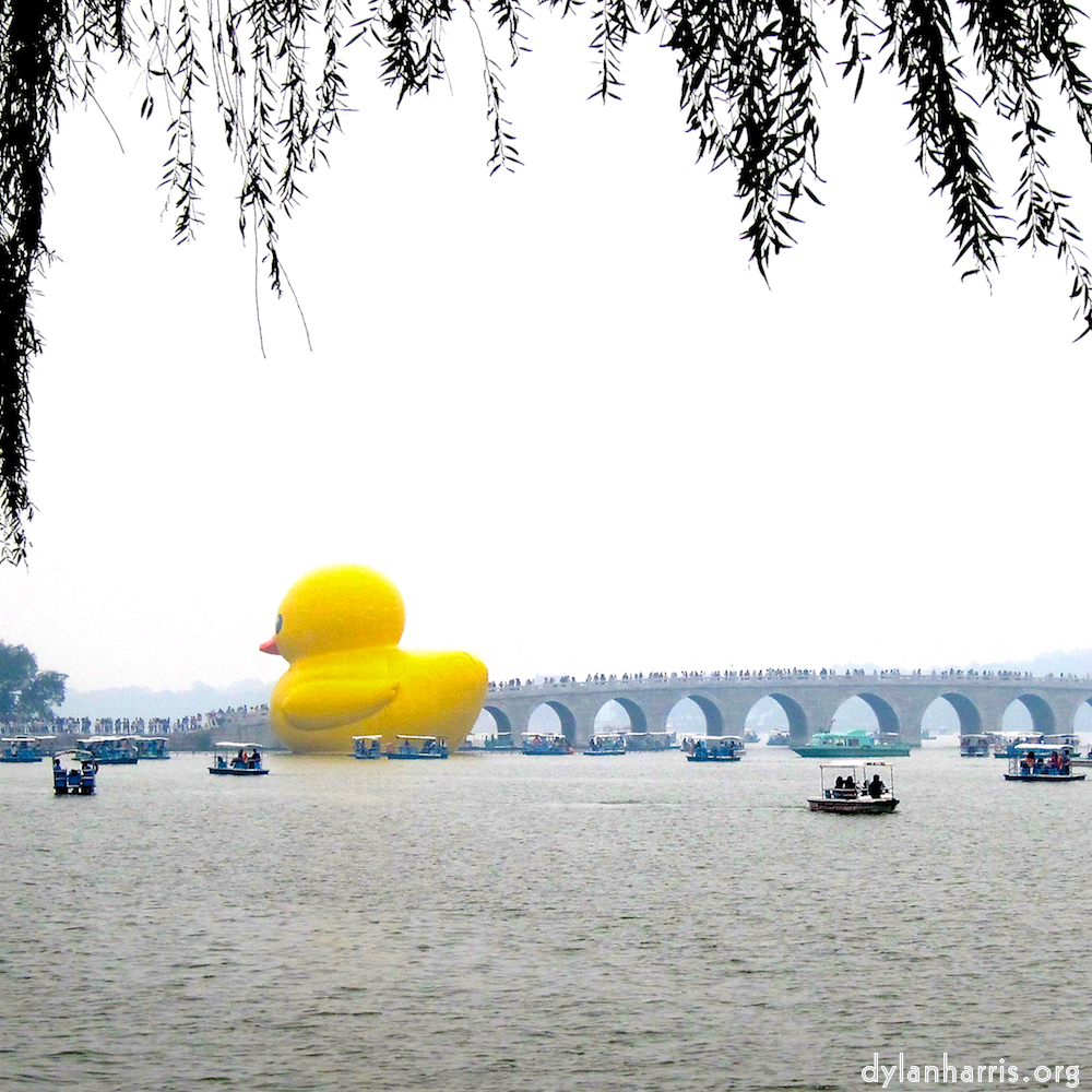 Image: Image 'beijing (iii) 6'.