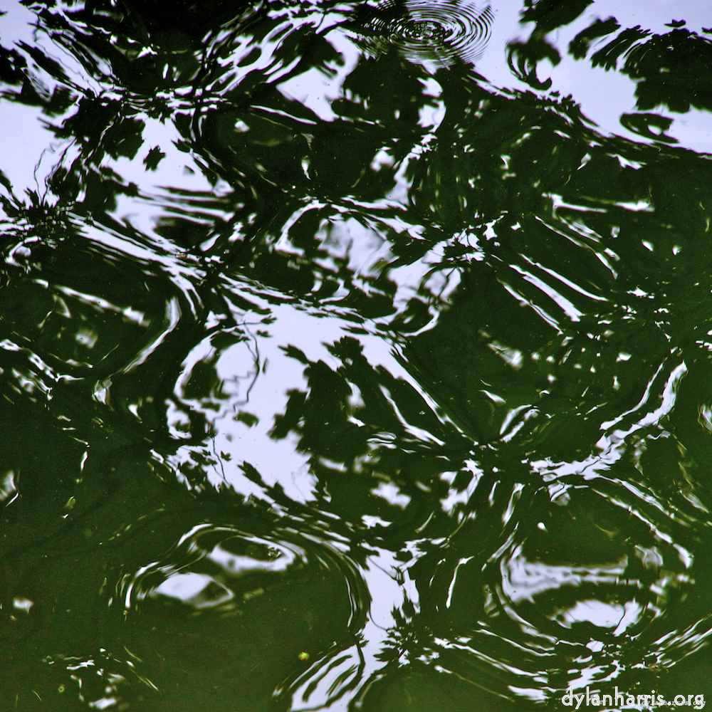 Image: Image 'parc (iv) 2'.