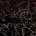Image: Seventh image from the photoset 'nuit (iv)'.