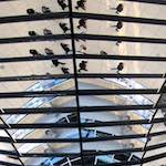 Image: Fifth image from the photoset 'berlin (ii)'.