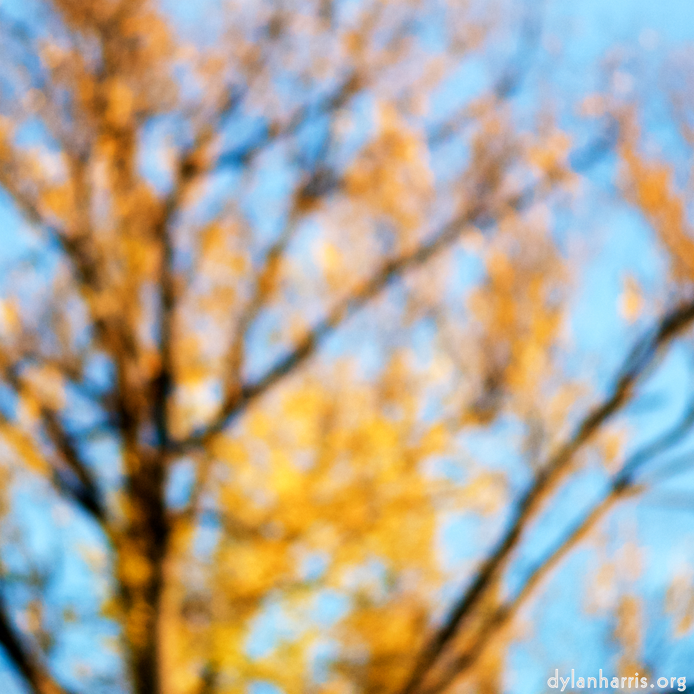 image: This is ‘park (xxxiv) 1’.
