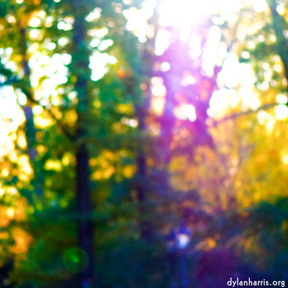 image: This is ‘park (xxxiv) 2’.