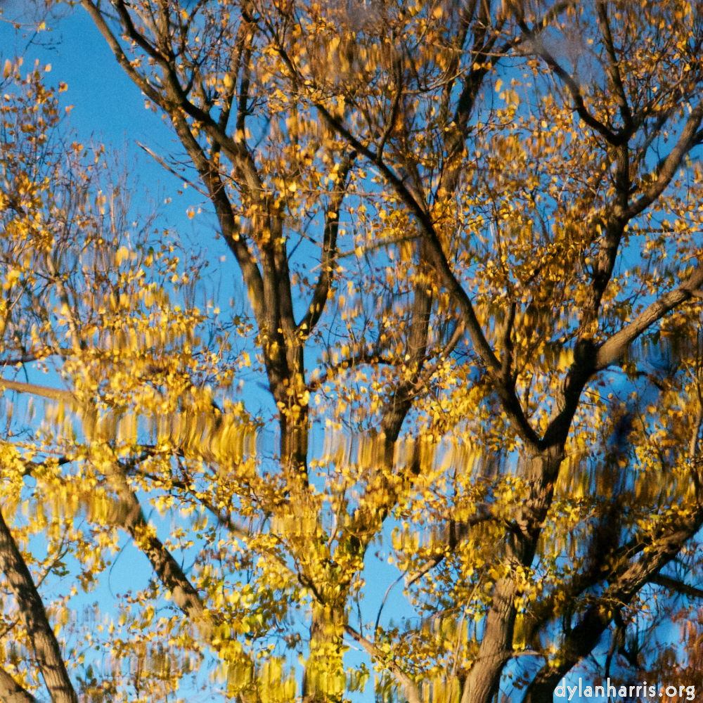 image: This is ‘park (xxxiv) 3’.
