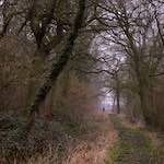 Image: Ninth image from the photoset 'swineshead (vi) — buster’s vanished'.
