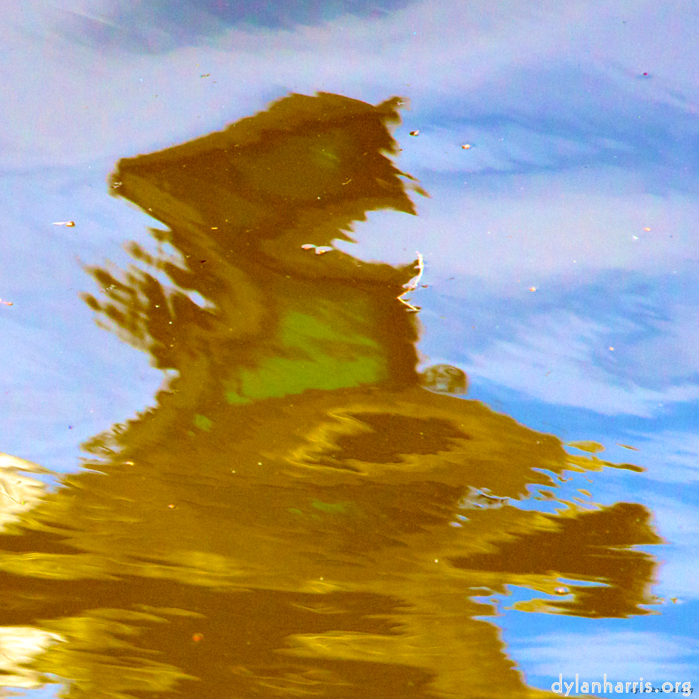 image: an image