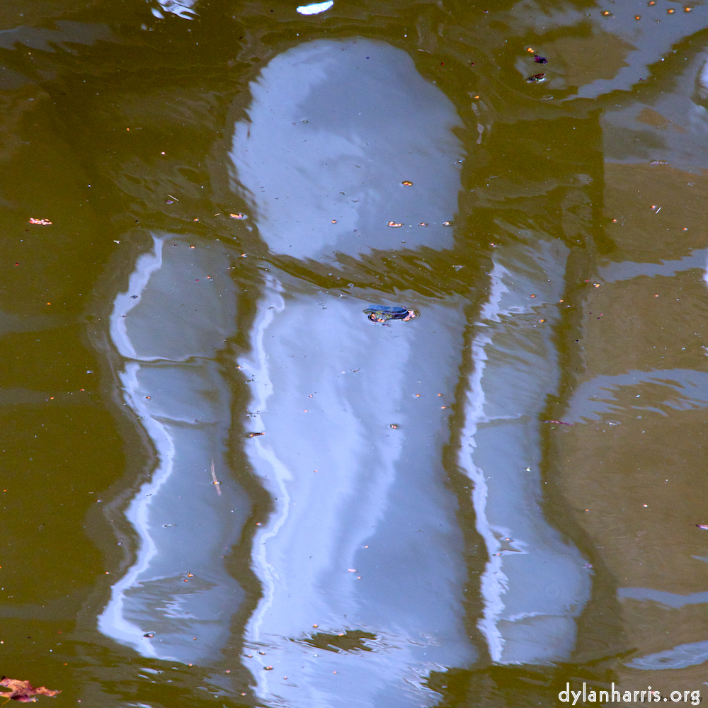 image: an image