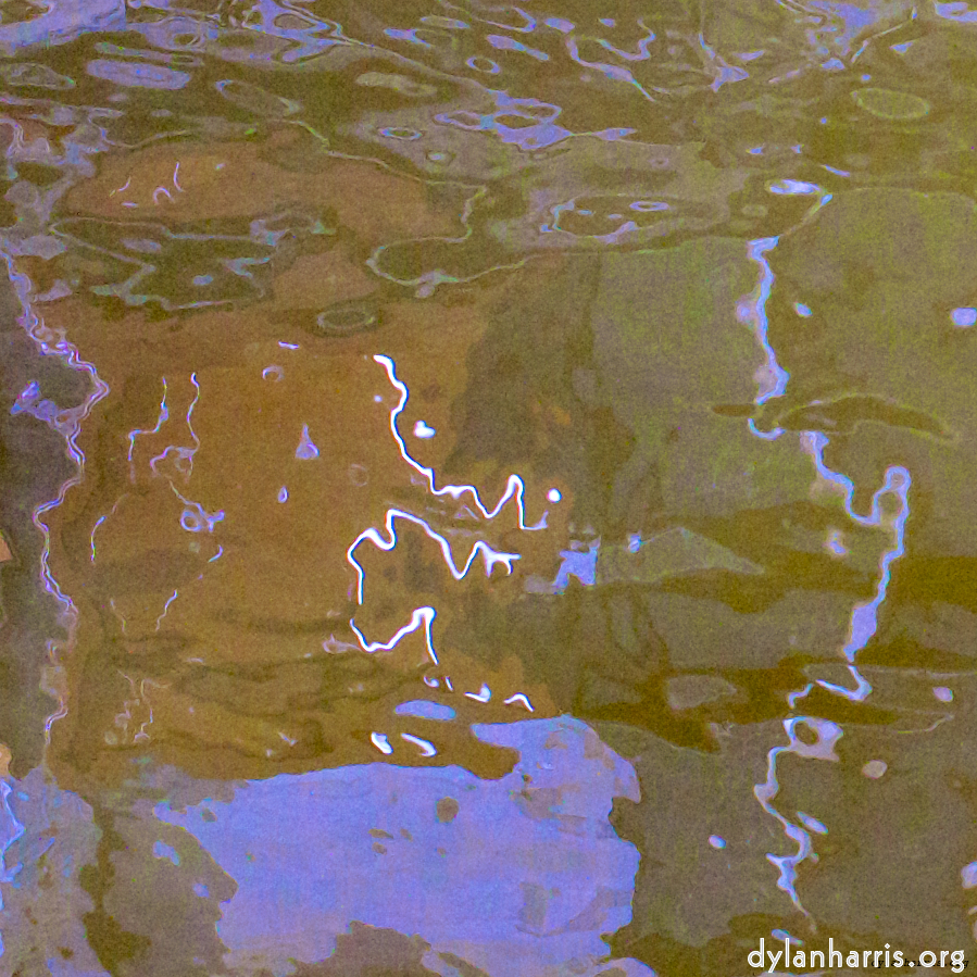 image: an image