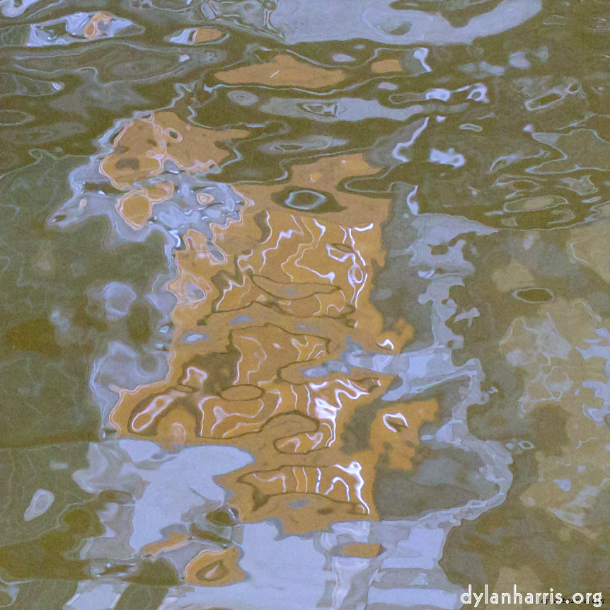 image: an image