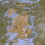 Image: Fifth image from the photoset 'delft (i)'.