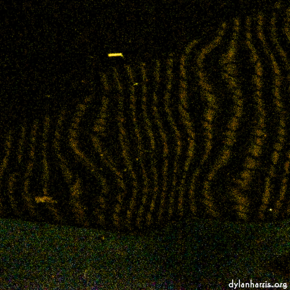 image: an image
