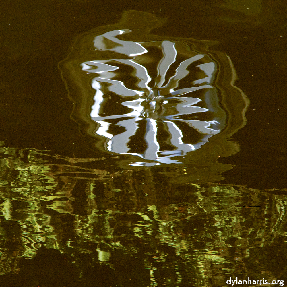 Image: Image 'delft (iii) 6'.
