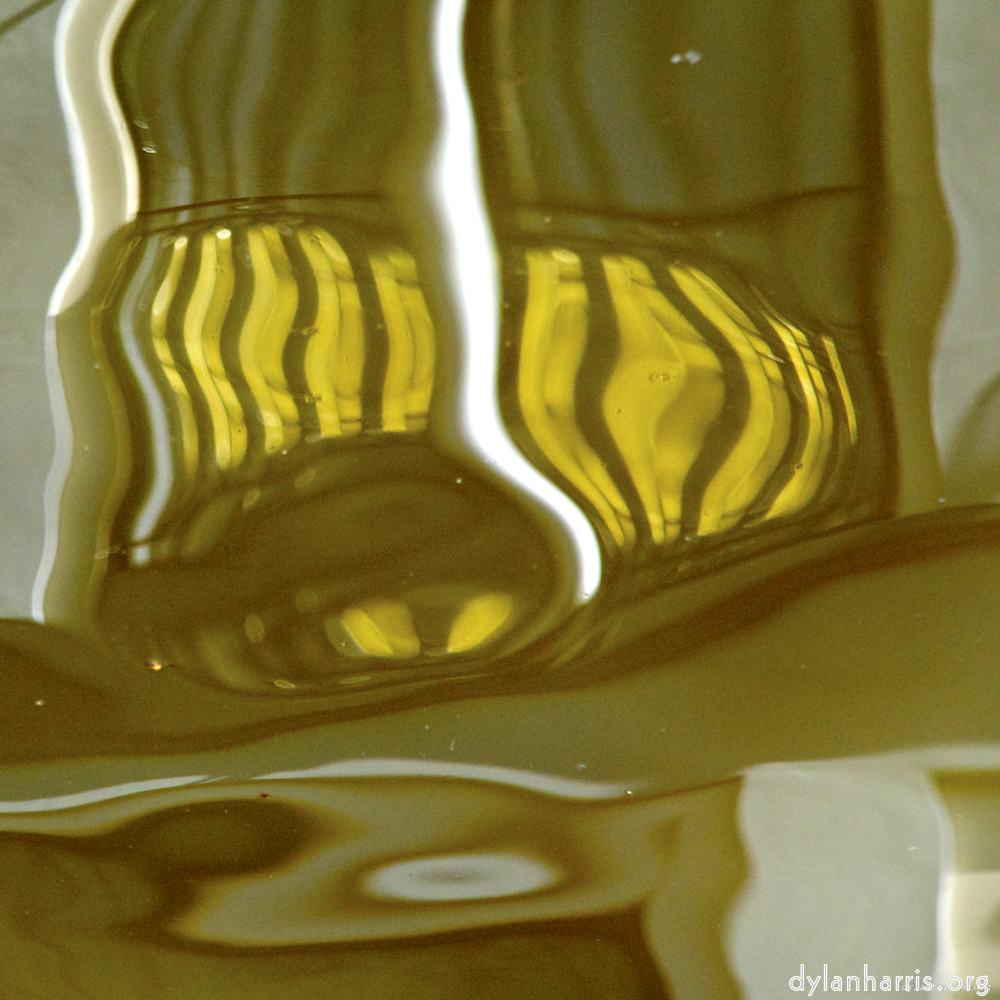 image: an image