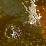 Image: Fourth image from the photoset 'delft (iii)'.