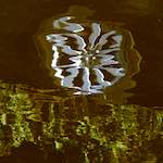 Image: Sixth image from the photoset 'delft (iii)'.