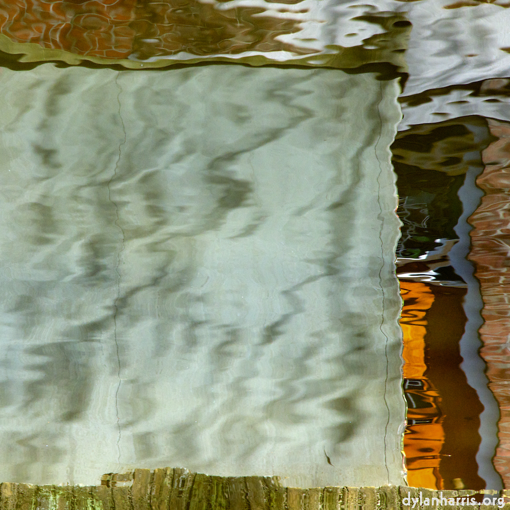 image: an image