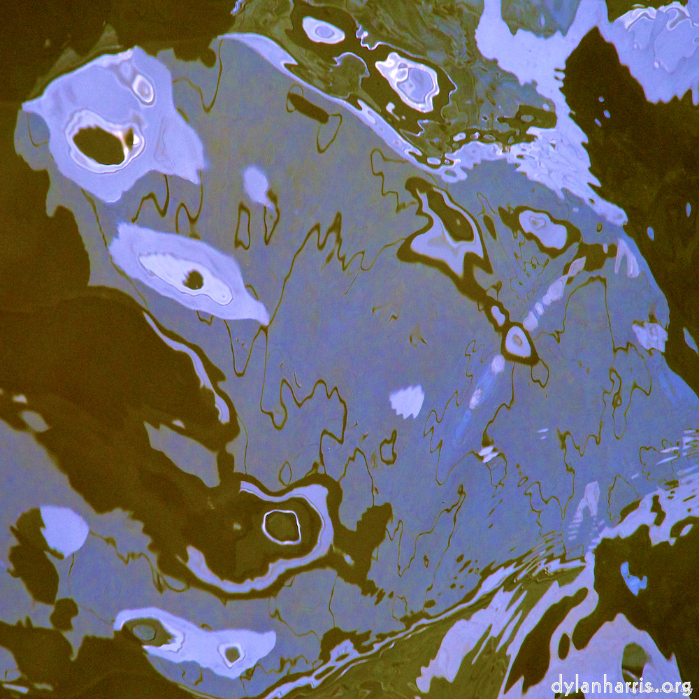 image: an image