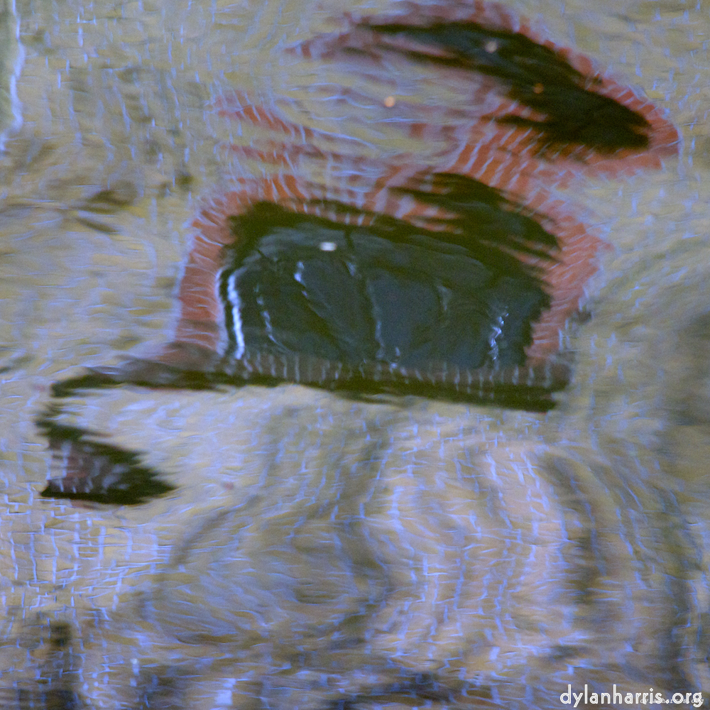 image: an image