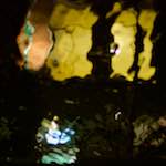 Image: Eighth image from the photoset 'delft (x)'.