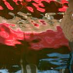 Image: Ninth image from the photoset 'delft (x)'.