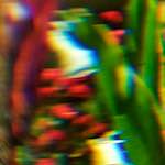 image: Image from the photoset ‘abstract (iv)’.