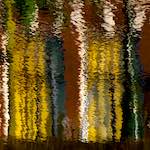 Image: Third image from the photoset 'leiden (i)'.