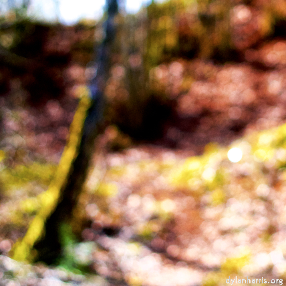 Image: Image 'wood (xxix) 1'.