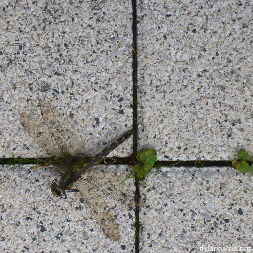 image: This is ‘way to work (vii) 3’.