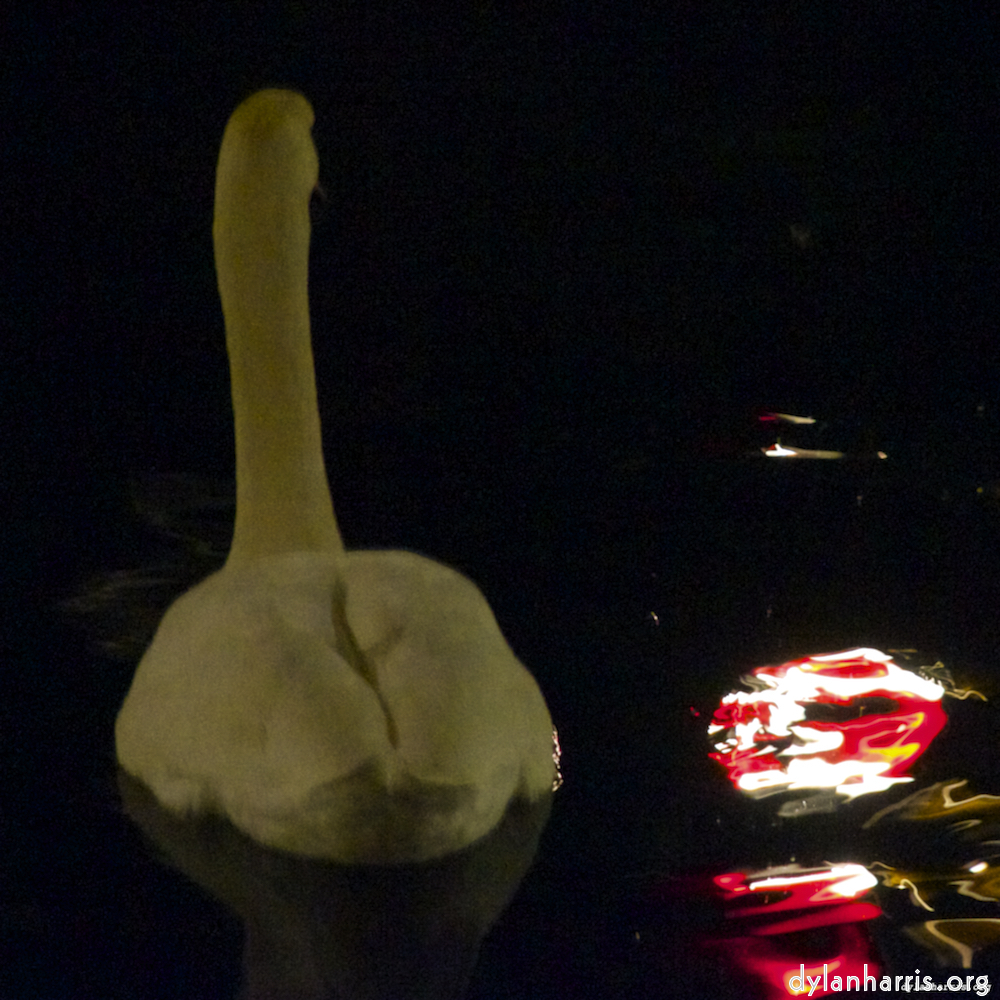 Image 'amsterdam (xx) 2'.