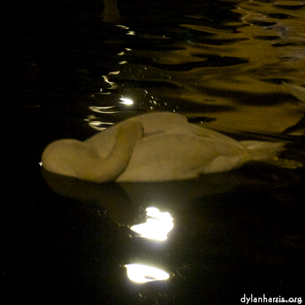 Image 'amsterdam (xx) 6'.