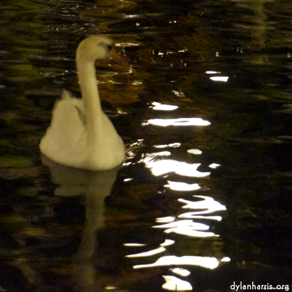 Image 'amsterdam (xx) 8'.