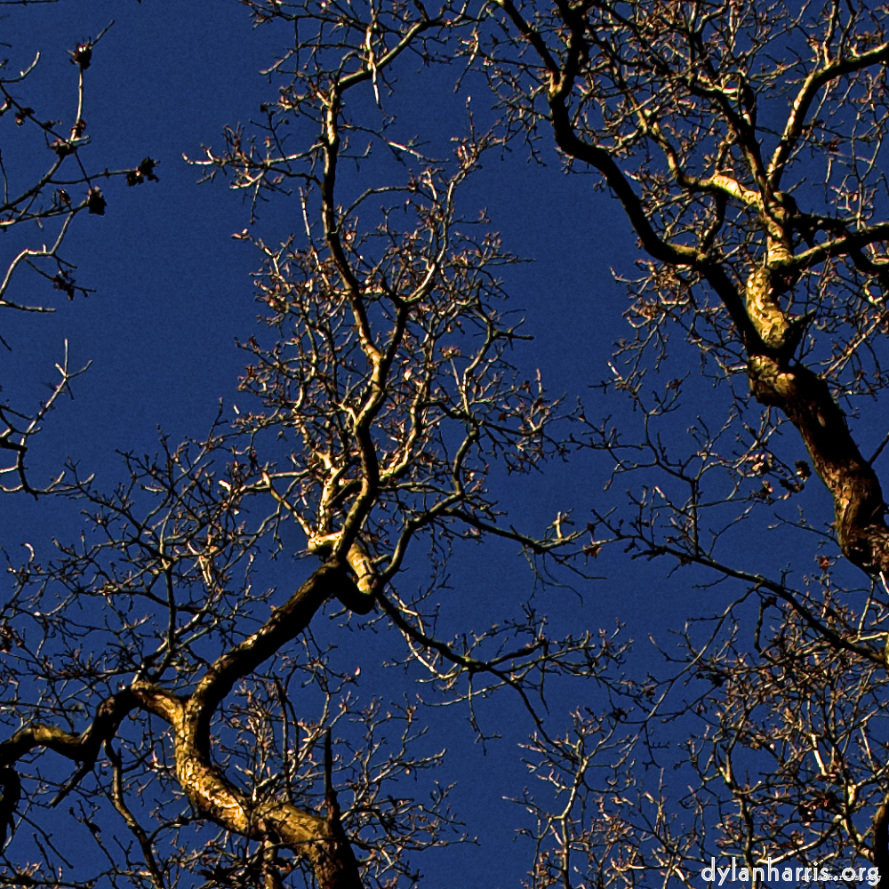 Image 'swineshead (v) 1'.