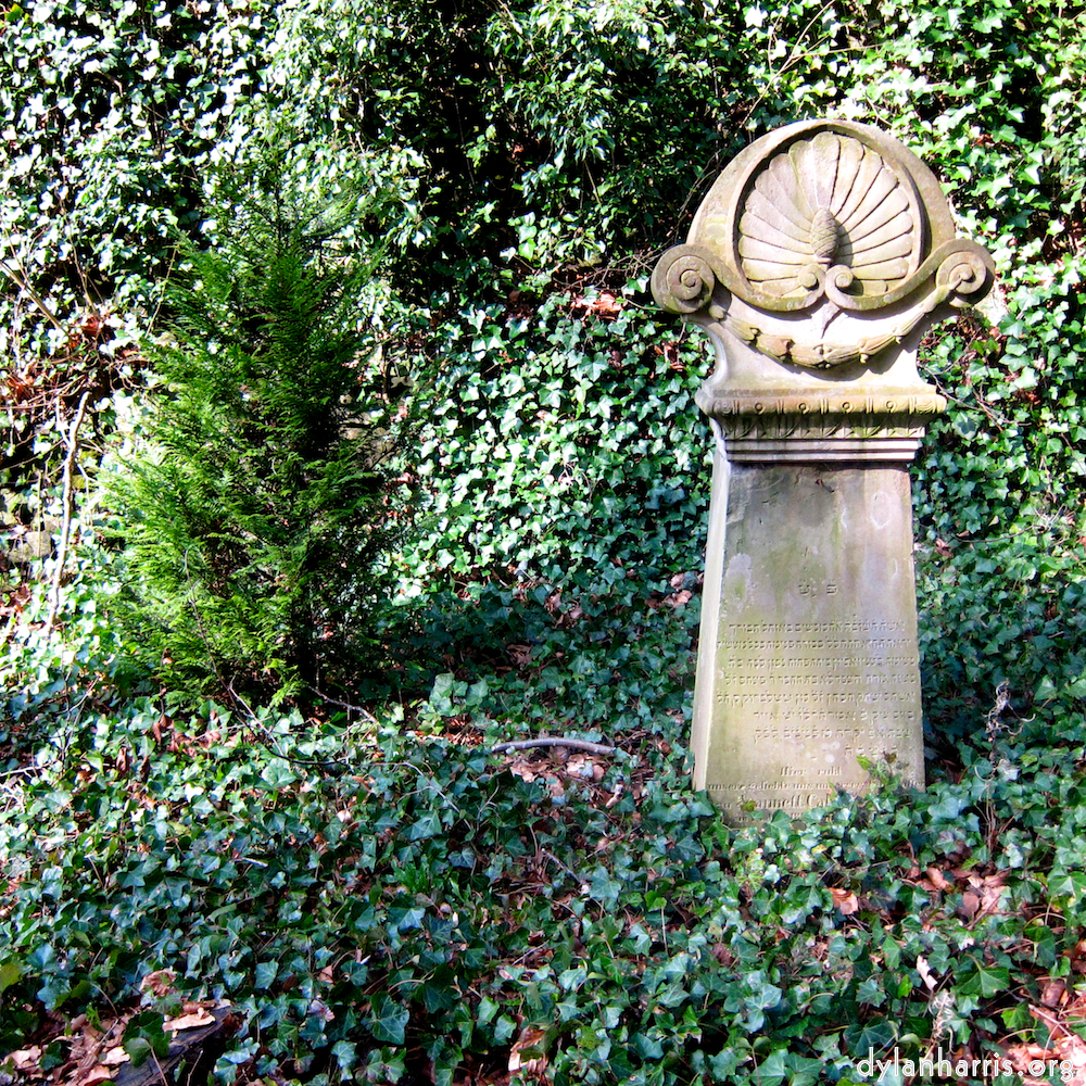 Image: Image 'graveyard (iii) 7'.