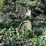 Image: Second image from the photoset 'graveyard (iii)'.