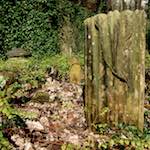 Image: Fourth image from the photoset 'graveyard (iii)'.