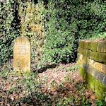 Image: Fifth image from the photoset 'graveyard (iii)'.