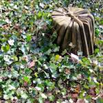 Image: Ninth image from the photoset 'graveyard (iii)'.
